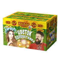 Цветок папоротника